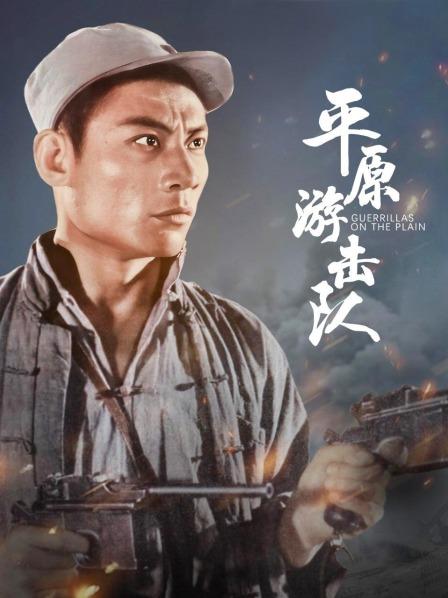 平原游击队